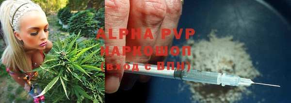 шишки Аркадак