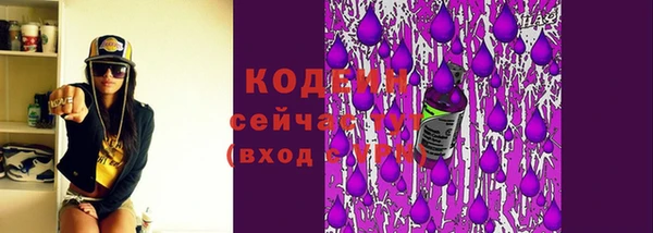 ГАЛЛЮЦИНОГЕННЫЕ ГРИБЫ Балахна